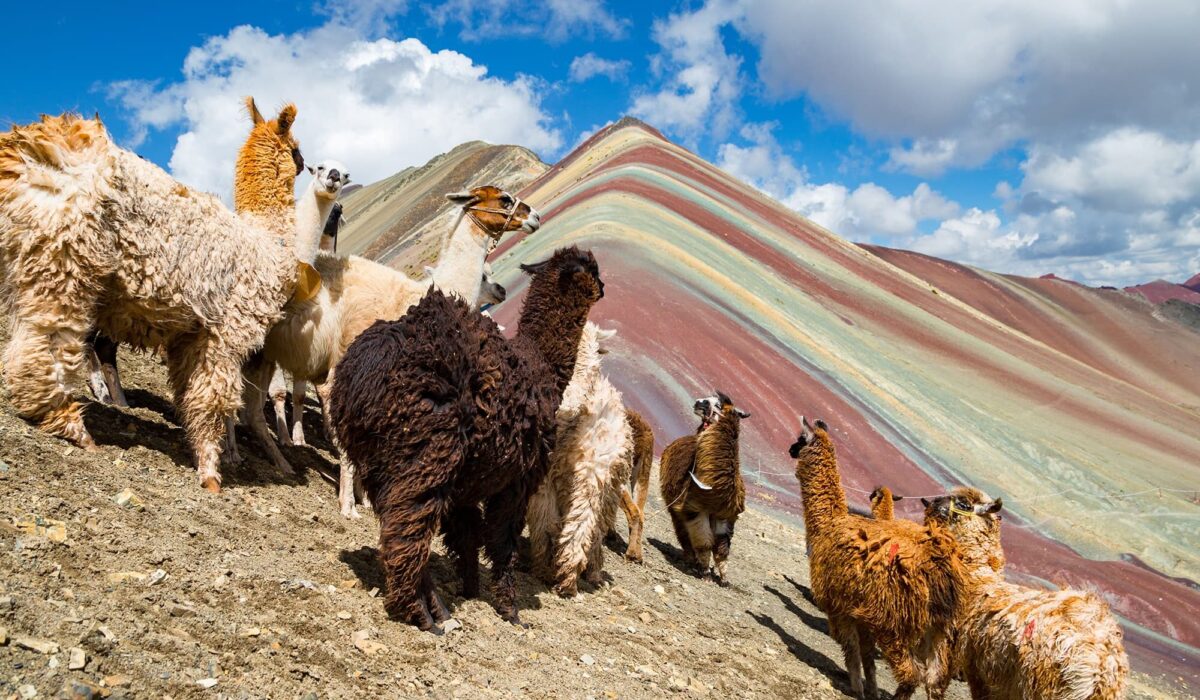 Montaña de 7 Colores: Un Viaje Al Arcoíris de los Andes en un Día