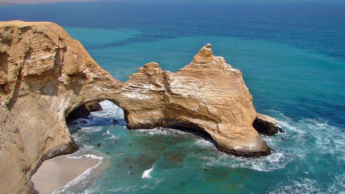 Tour a Paracas desde Lima: Un Día de Aventura y Belleza Natural