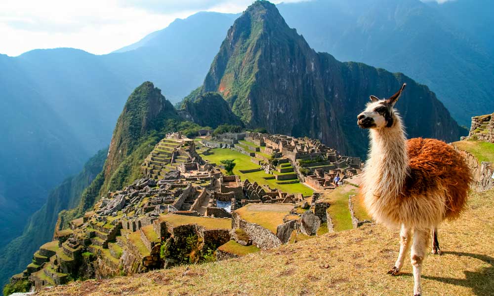 Machu Picchu: Un Viaje al Corazón de la Ciudad Perdida de los Incas